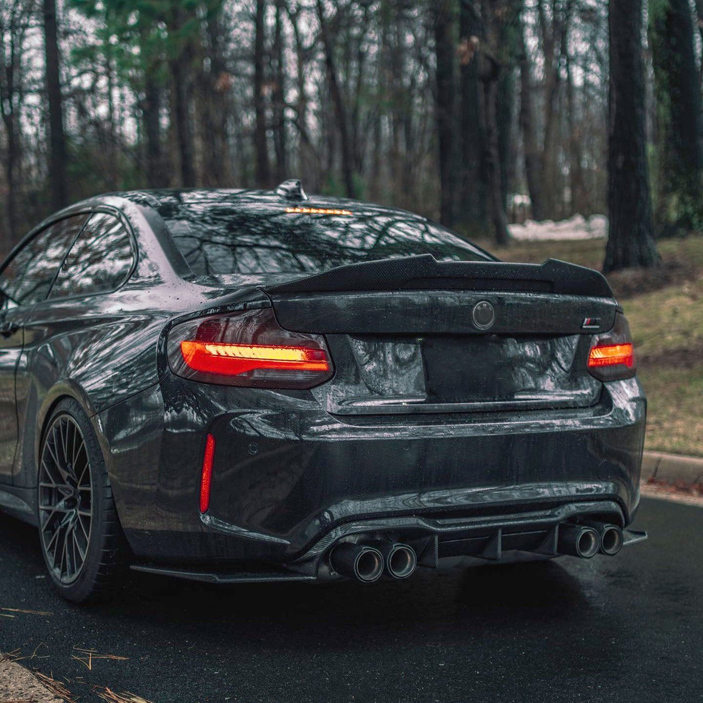Image for Carbon Fiber Look variant