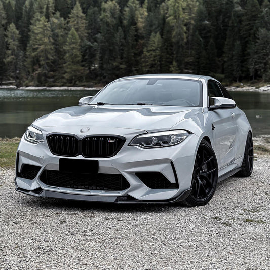 Image for Carbon Fiber Look variant